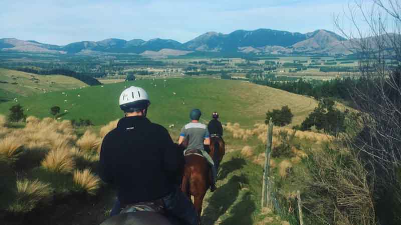 Join Hanmer Horse Treking for an enchanting 1 or 2 hour trek through beautiful Hanmer farmland. 